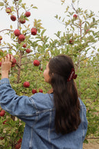 PSALM 23 CLIP