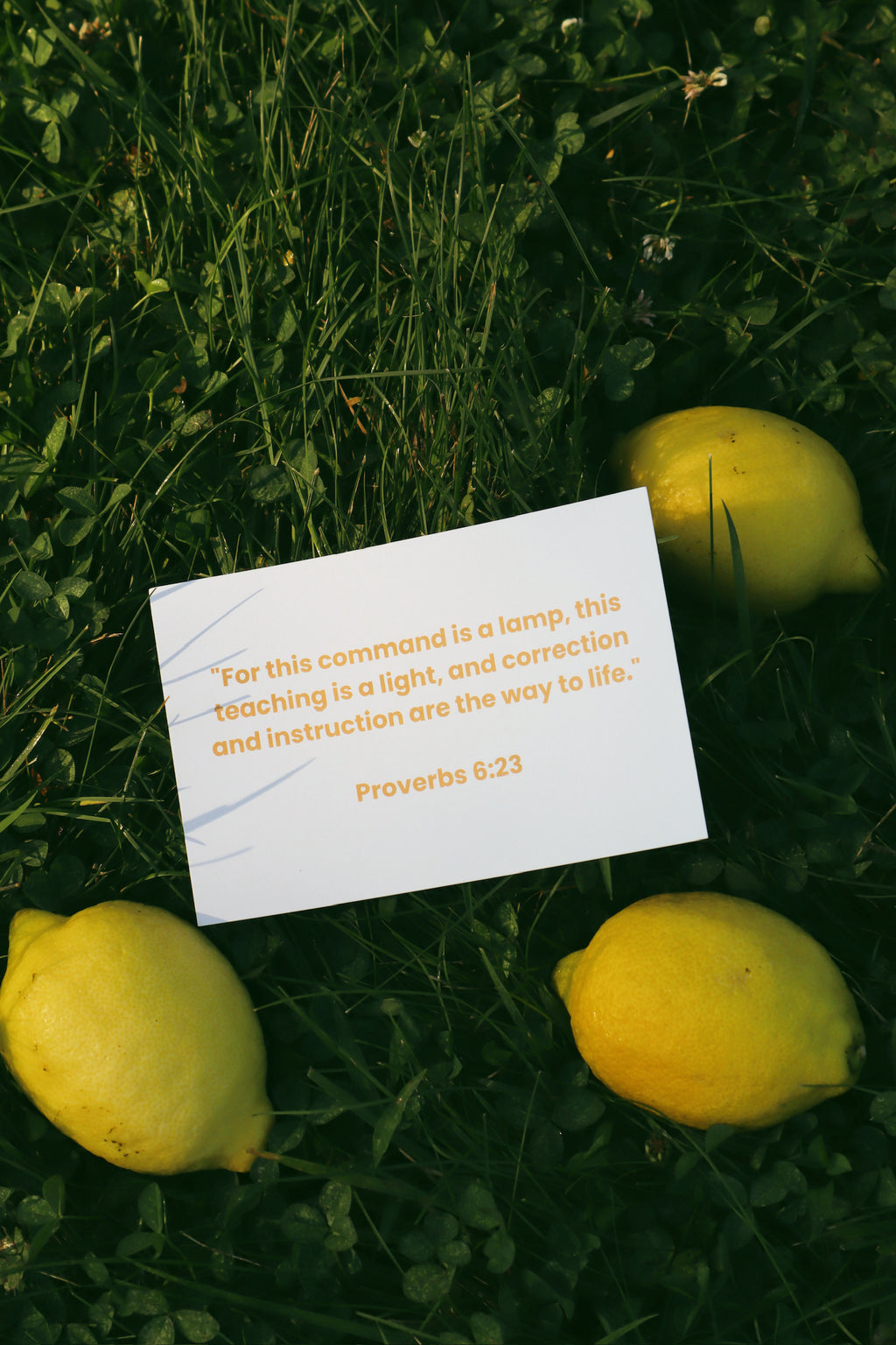 PROVERBS 6:23